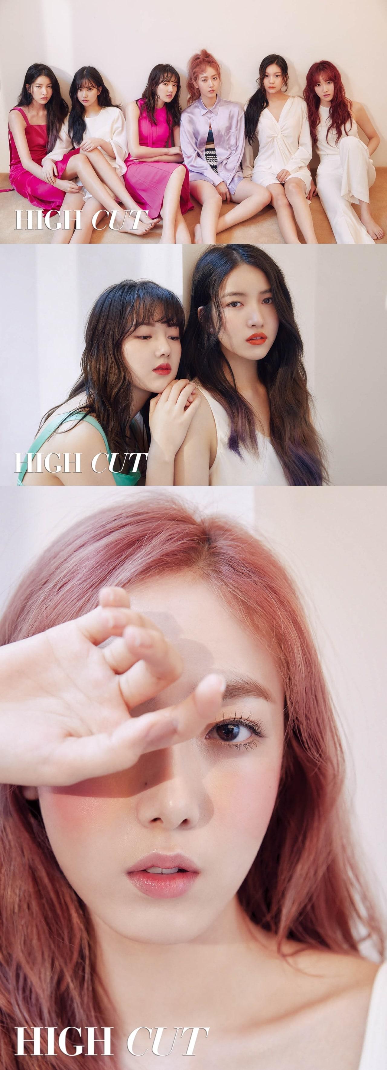 본문 이미지 - 하이컷 ⓒ News1