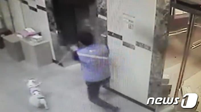 본문 이미지 - 지난 3일 서울 한 아파트에서 엘리베이터에 개 목줄이 걸리는 사고가 발생했다.(사진 온라인커뮤니티 보배드림 캡처)ⓒ News1