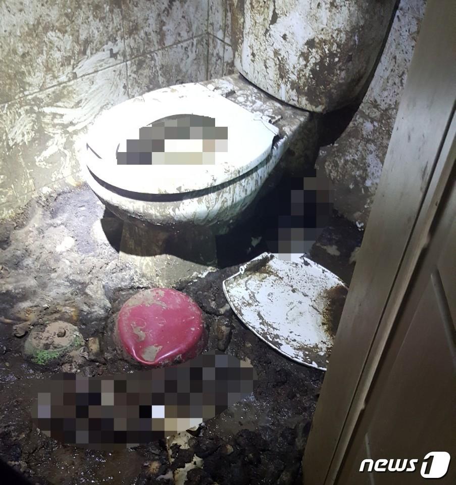 본문 이미지 - 화장실에서 백골 상태로 발견된 서너 구의 개 사체ⓒ News1 김연수 기자