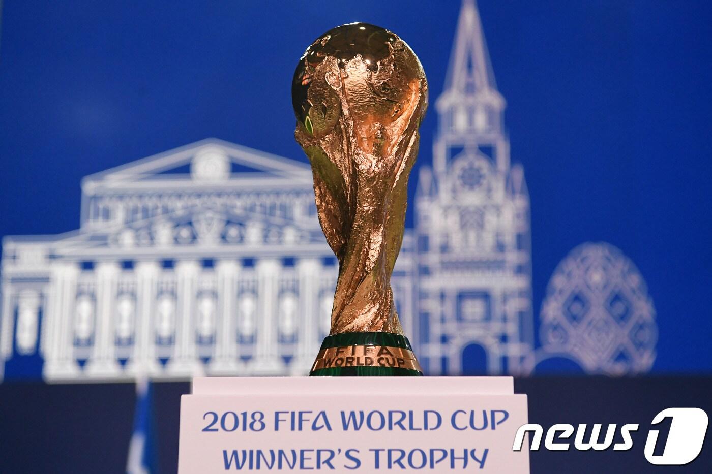 본문 이미지 - 13일(한국시간) FIFA 총회에서 공개된 2018 월드컵 트로피. ⓒ AFP=News1