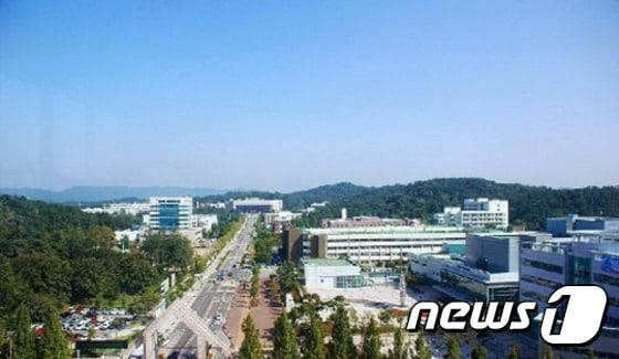 본문 이미지 - 사진은 충남대 전경ⓒ News1