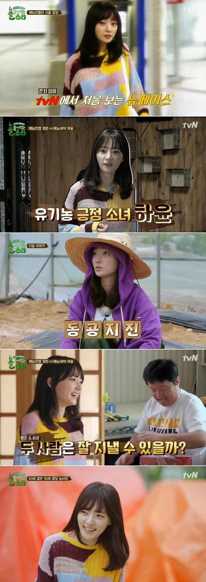 본문 이미지 - ⓒ News1 tvN 캡처