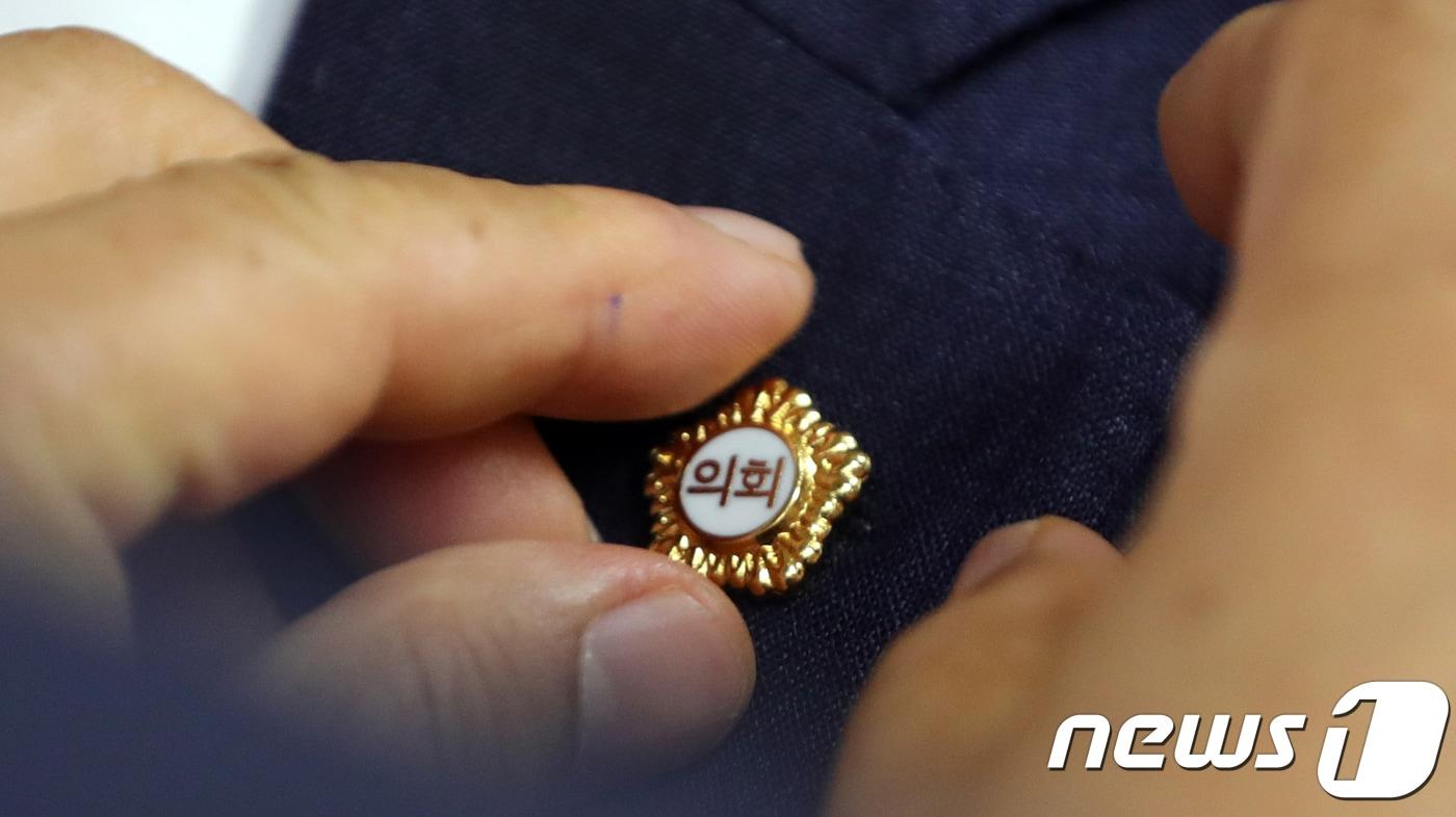 본문 이미지 - 지방의회 의원 배지. /뉴스1 DB