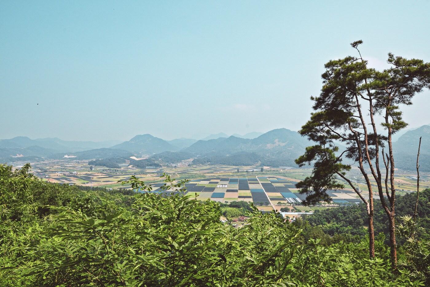 본문 이미지 - 충남 금산의 금강 솔바람길. 이하 관광공사 제공