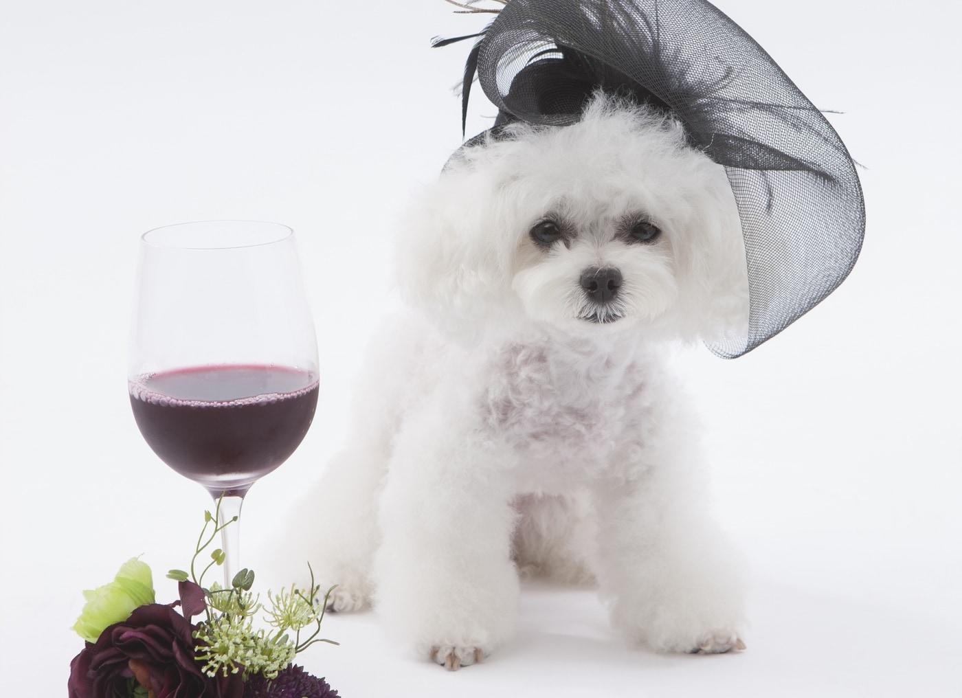 본문 이미지 - 사진 이미지투데이 ⓒ News1