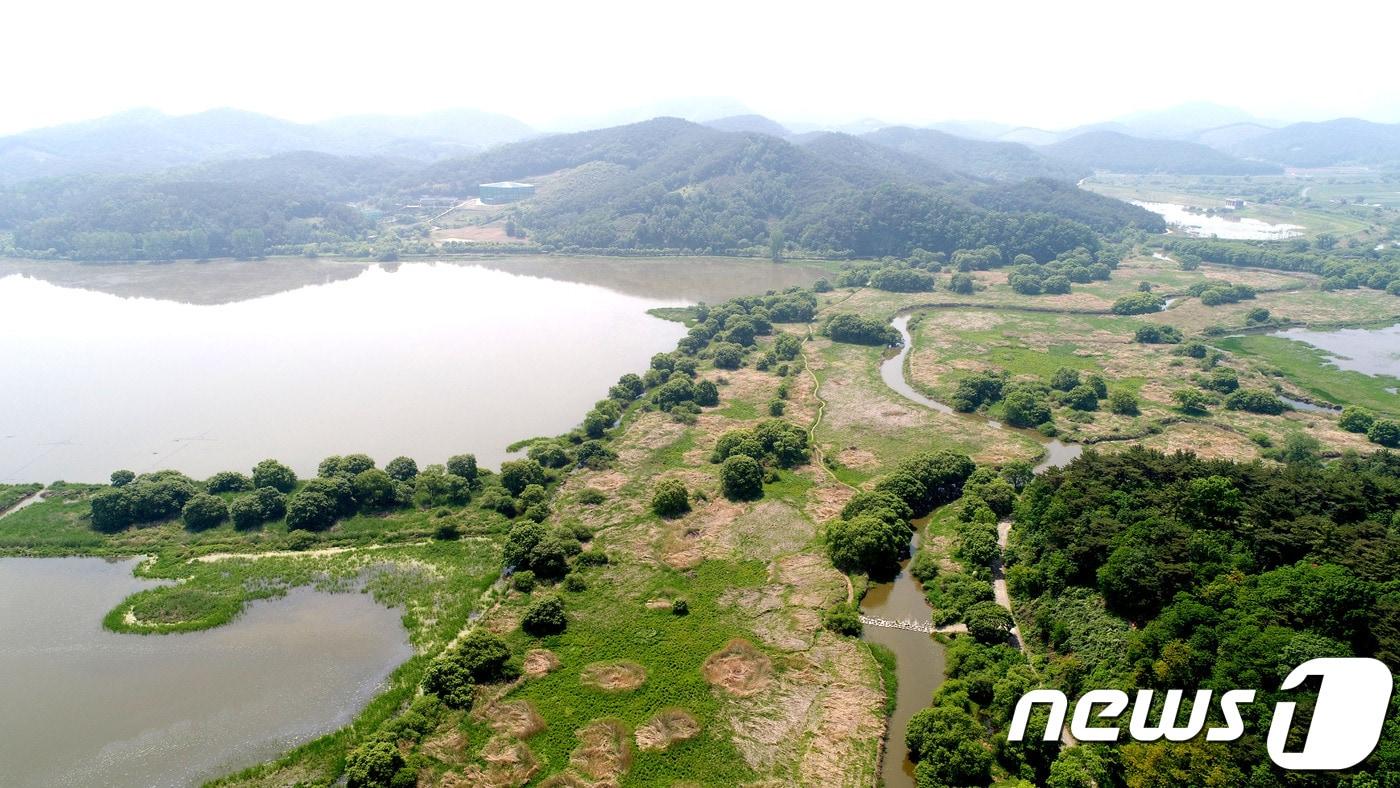 본문 이미지 - 국내 최대 자연 내륙 습지 창녕 우포늪(창녕군제공)ⓒ News1