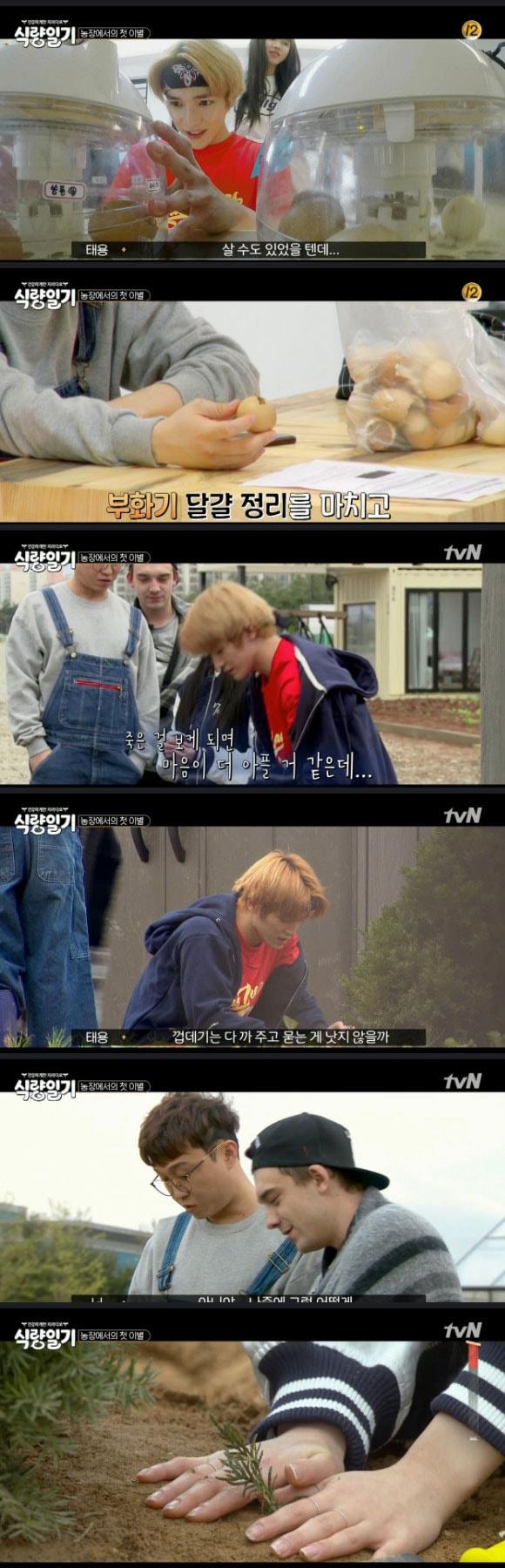 본문 이미지 - '식량일기' 캡처 ⓒ News1