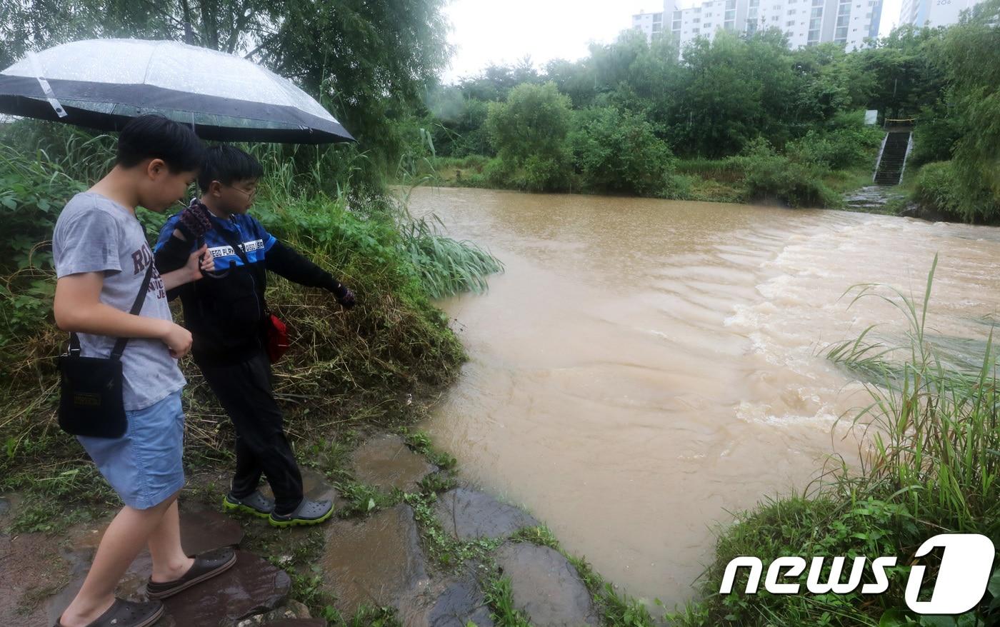본문 이미지 - 지난 2018년 경기도 안양시 동안구 인근 안양천 징검다리가 불어난 강물로 인해 잠겨 있다. (사진은 기사 내용과 무관함) / 뉴스1 ⓒ News1