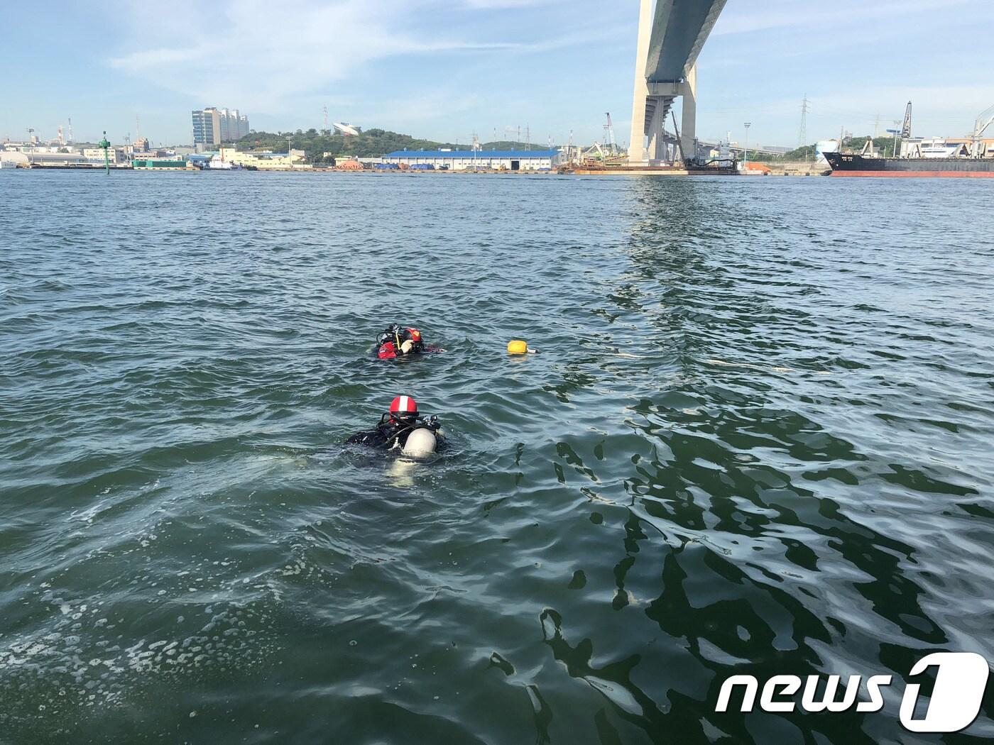 본문 이미지 - 울산해경 구조대원이 12일 울산대교 인근 해상에서 수중수색을 진행하고 있다.(울산해경 제공) 2018.7.12/뉴스1 ⓒ News1