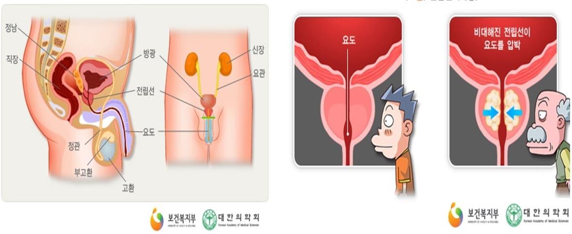 본문 이미지 - ⓒ News1