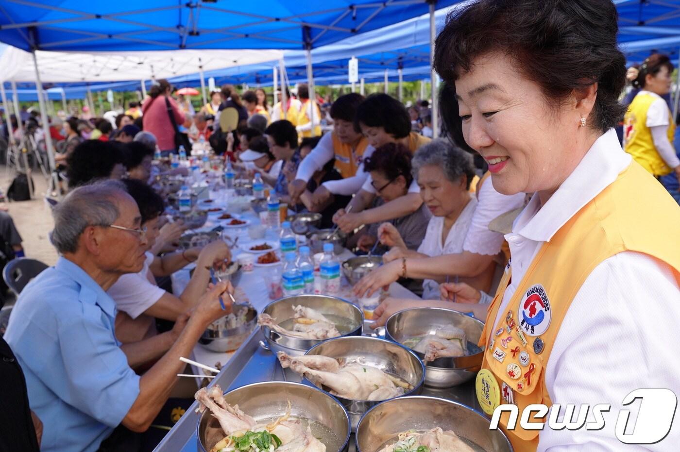 본문 이미지 - 적십자 봉사원이 어르신들에게 삼계탕 배식을 하고 있는 모습. ⓒ News1