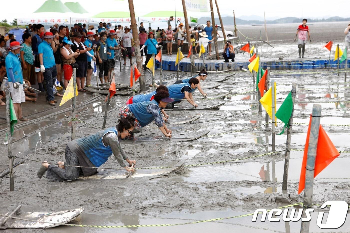 벌교 갯벌 뻘배 레이싱.(보성군 제공)/뉴스1 ⓒ News1