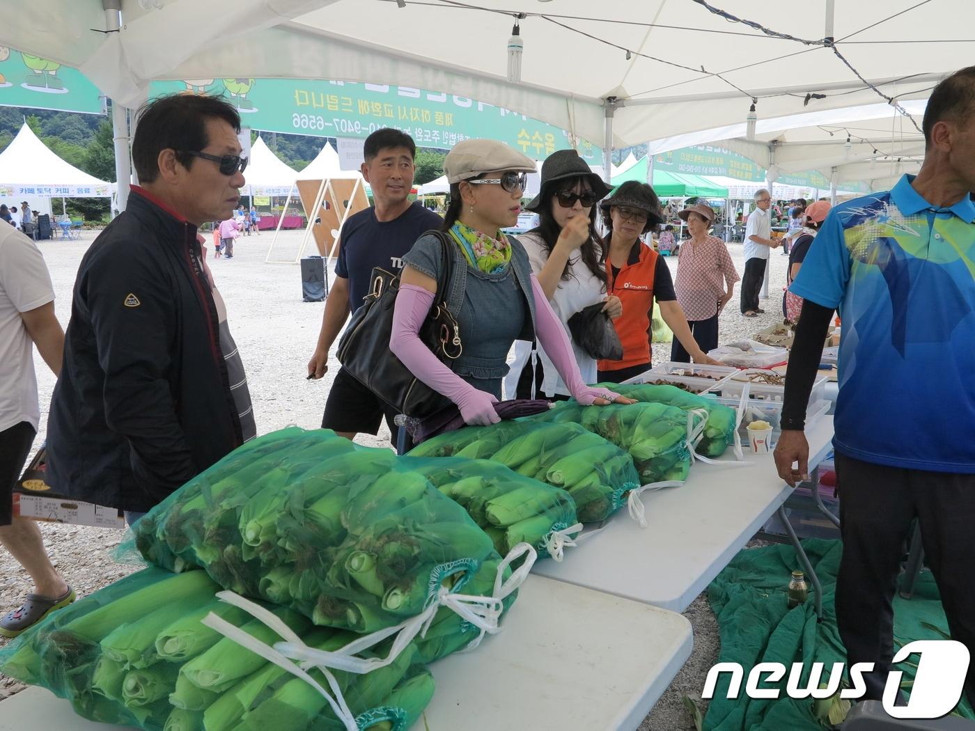 본문 이미지 - 지난해 옥천군 옥수수·감자 축제  ⓒ News1