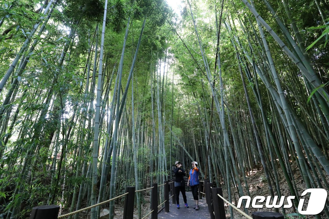 자료사진.ⓒ News1