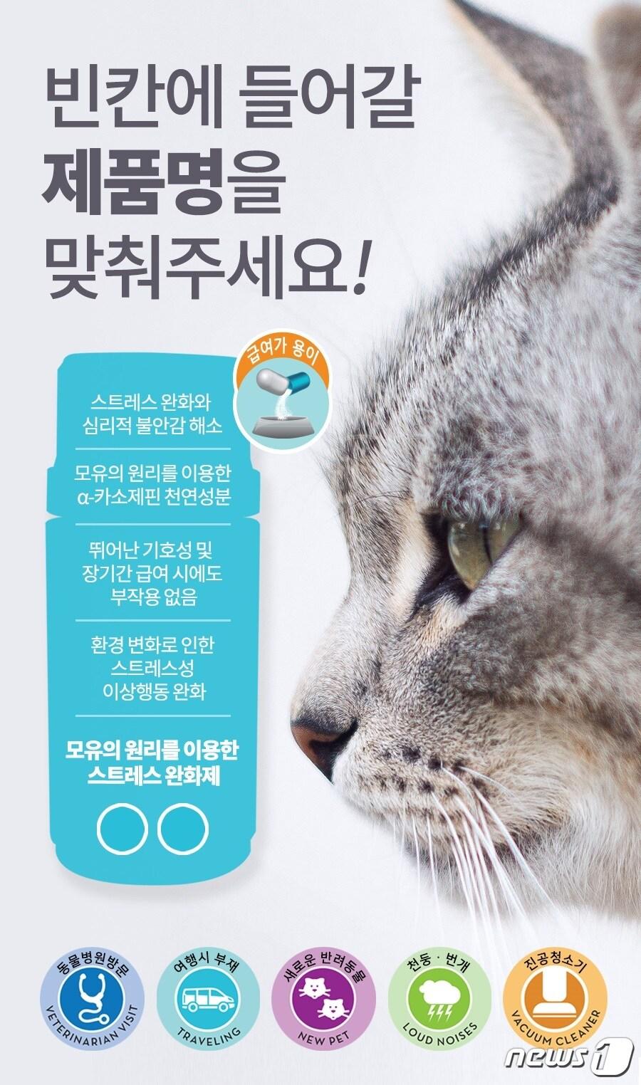 본문 이미지 - 베토퀴놀코리아㈜.ⓒ News1