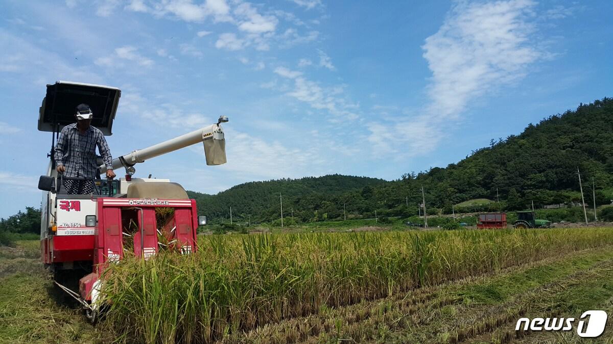 본문 이미지 - (사진은 기사 내용과 무관함) / 뉴스1 ⓒ News1