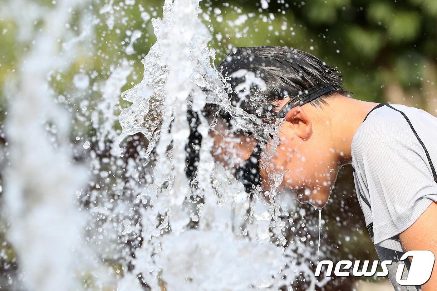 본문 이미지 - 뉴스1DB ⓒ News1 공정식 기자