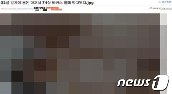 본문 이미지 - '일간베스트 저장소' 사이트 화면 갈무리. ⓒ News1