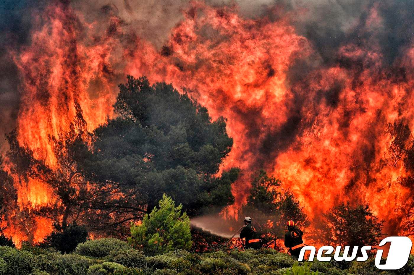 폭염에 의한 산불이 24일 (현지시간) 그리스 아테네 외곽 마을을 덮치고 있다.  ⓒ AFP=뉴스1 ⓒ News1 