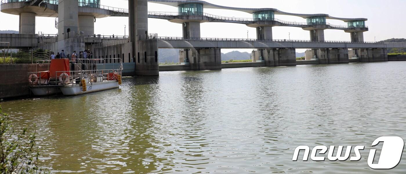 본문 이미지 - 죽산보 녹조./뉴스1 DB