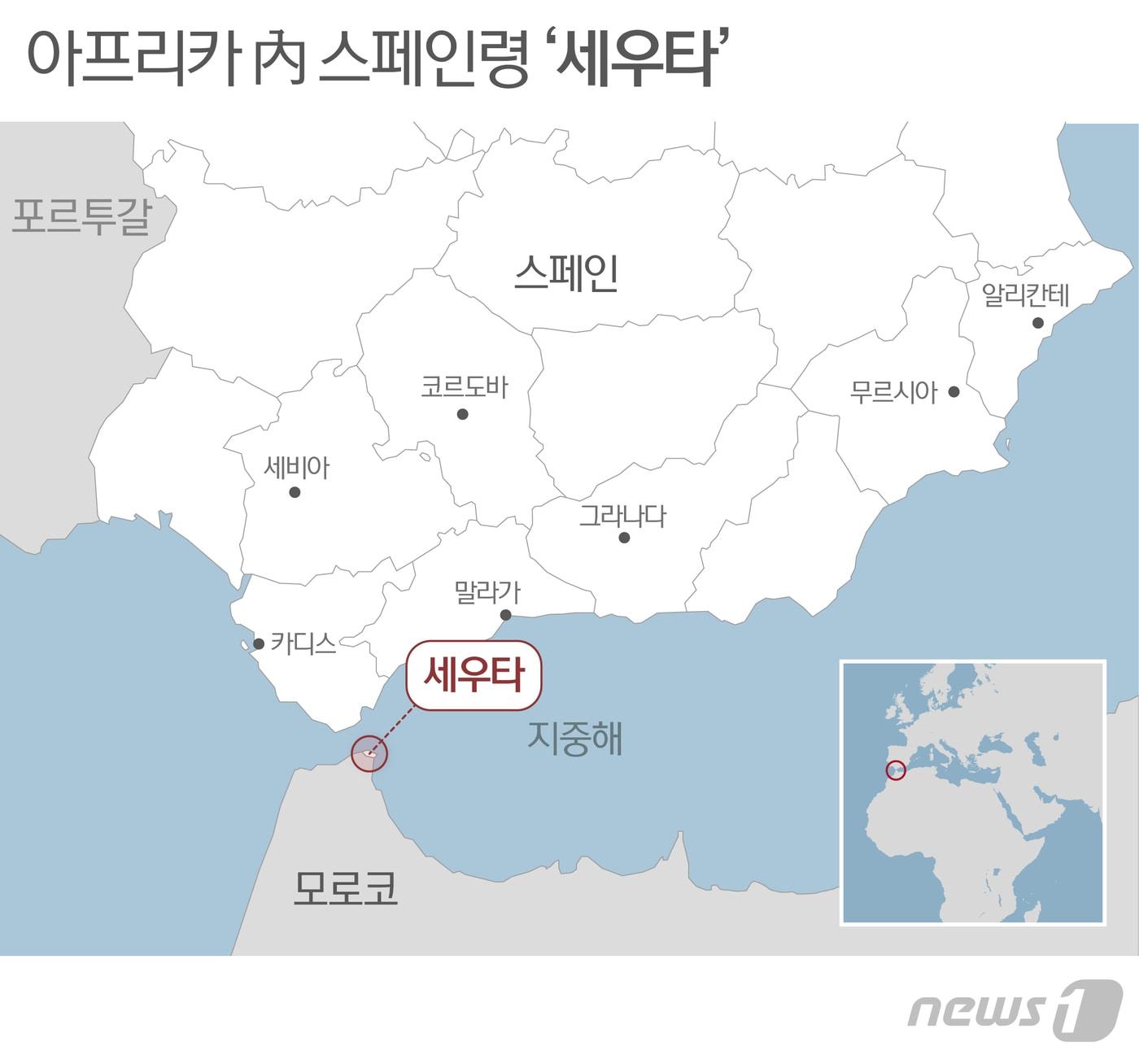 본문 이미지 - ⓒ 뉴스1 최수아 디자이너