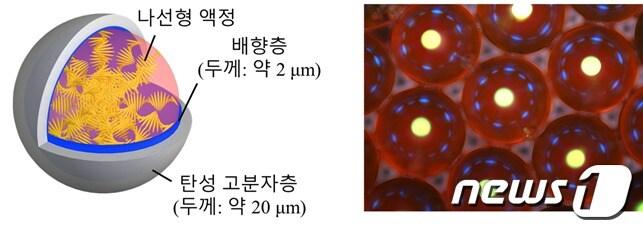 본문 이미지 - 캡슐형 레이저 공진기의 구성(왼쪽)과 광학 현미경 사진(KAIST 제공)ⓒ News1