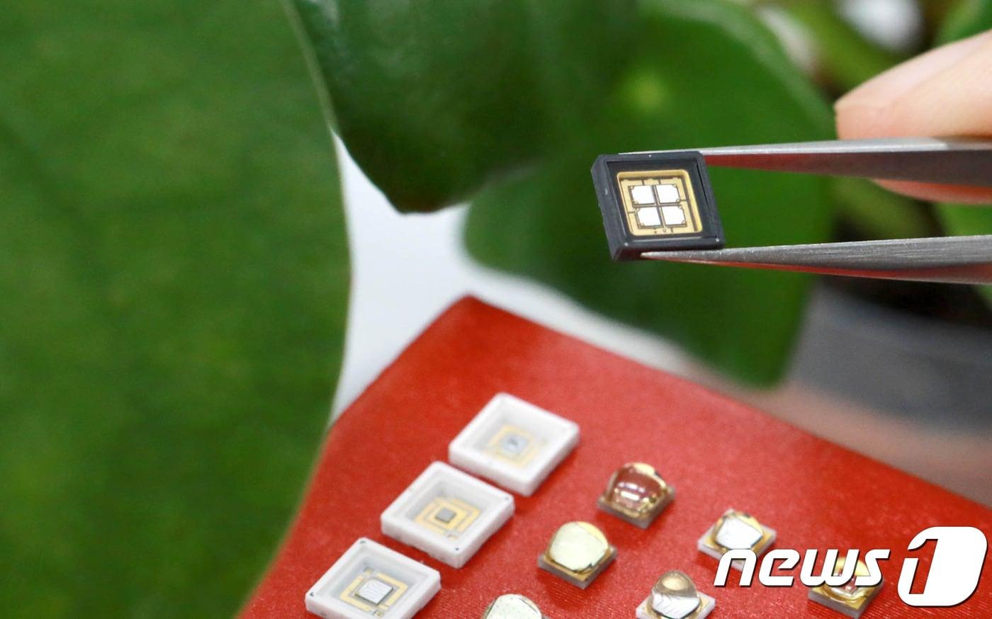 본문 이미지 - LG이노텍 '식물생장용 LED' 제품. (LG이노텍 제공)ⓒ News1