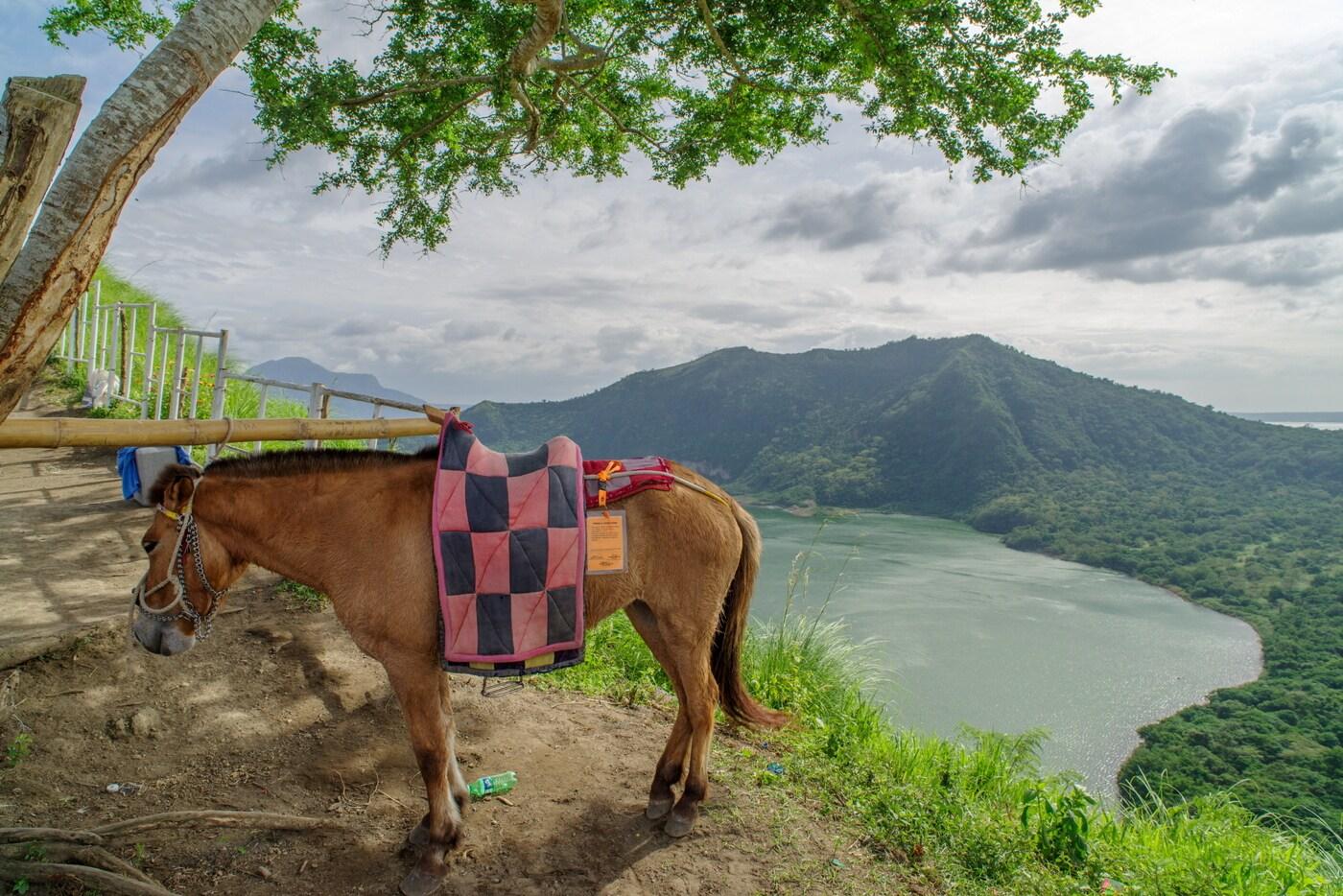 타가이타이 화산 조랑말 트레킹. 참좋은여행 제공