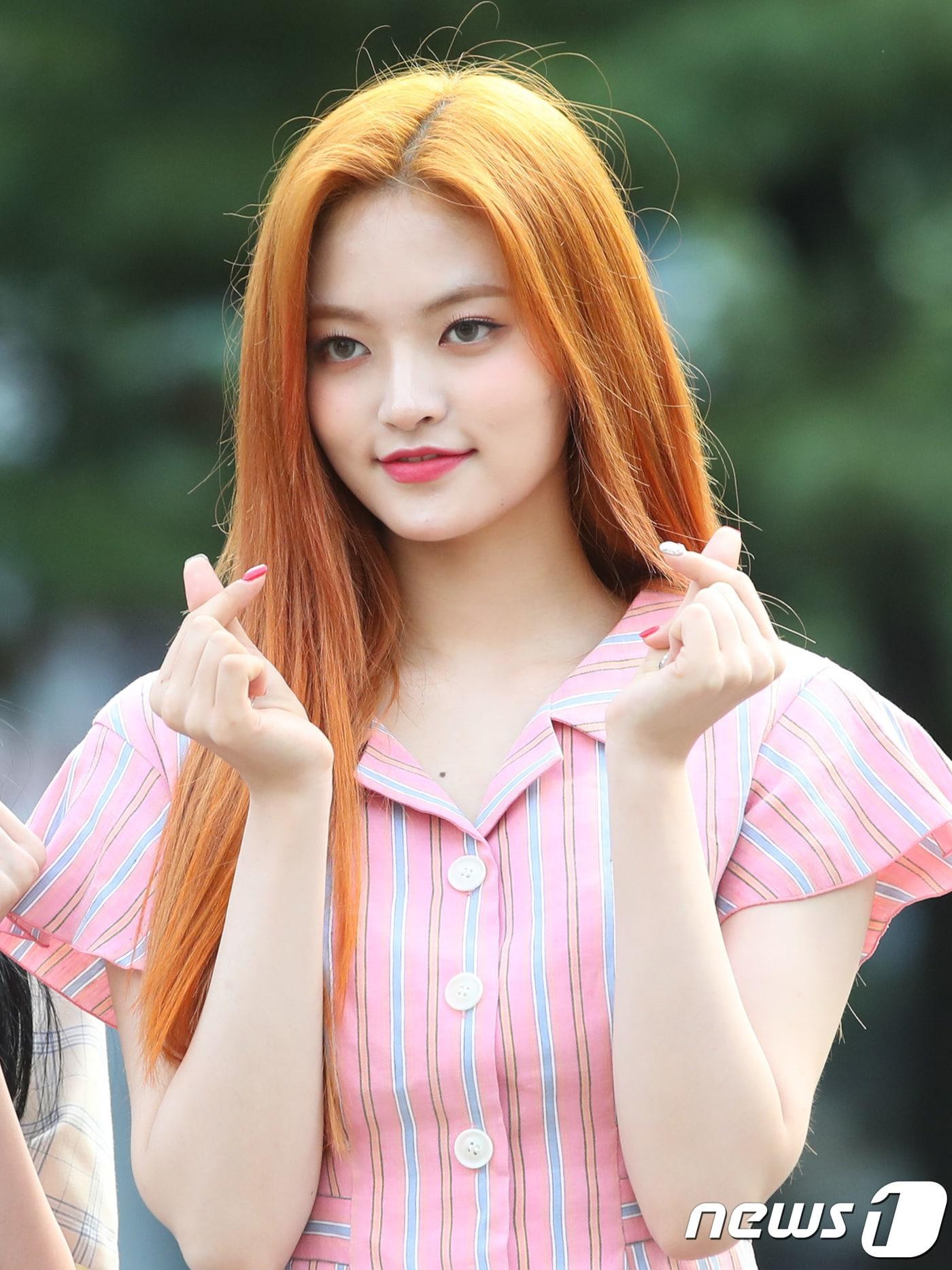 본문 이미지 - 다이아 솜이./뉴스1 ⓒ News1 권현진 기자