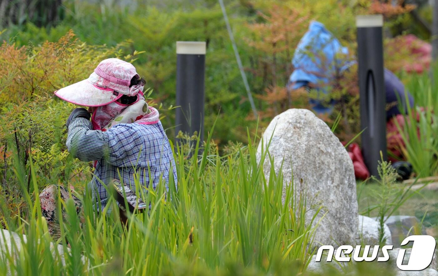 본문 이미지 - .2018.8.14/뉴스1 ⓒ News1