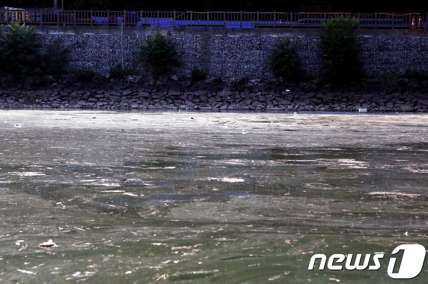 14일 오후 경북 안동시 성곡동 안동 조정지댐(보조댐)이 엄청난 양의 부유물로 몸살을 앓고 있다. 이곳은 월영교와 안동지역 명물인 황포돛단배 운항구간으로 관광객들의 안전도 위협이 되고 있다. 2018.8.14/뉴스1 ⓒ News1 피재윤 기자