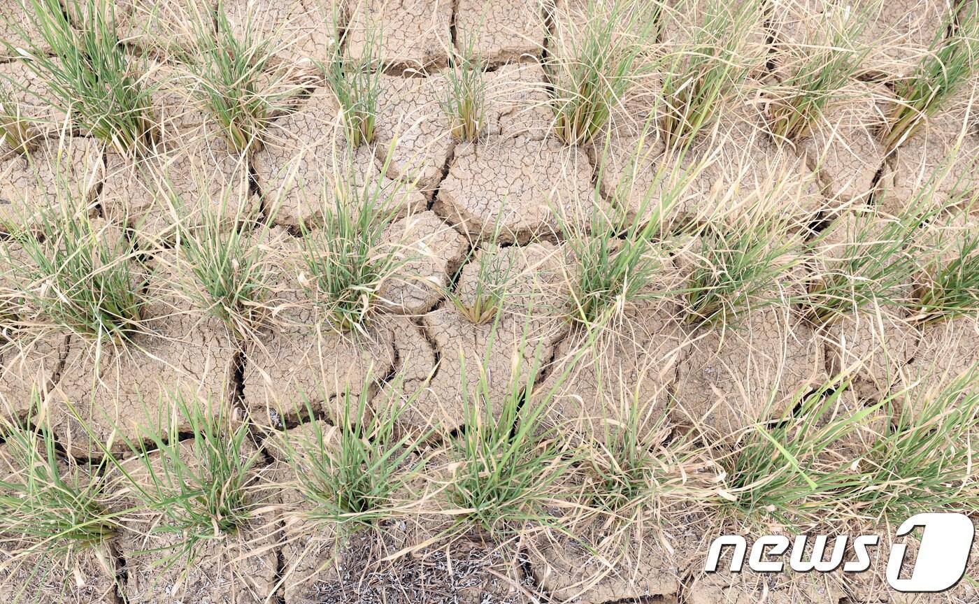 본문 이미지 - 자료 사진.2018.8.16/뉴스1 ⓒ News1 남성진 기자