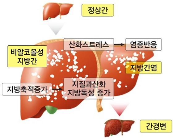 본문 이미지 - ⓒ News1 DB