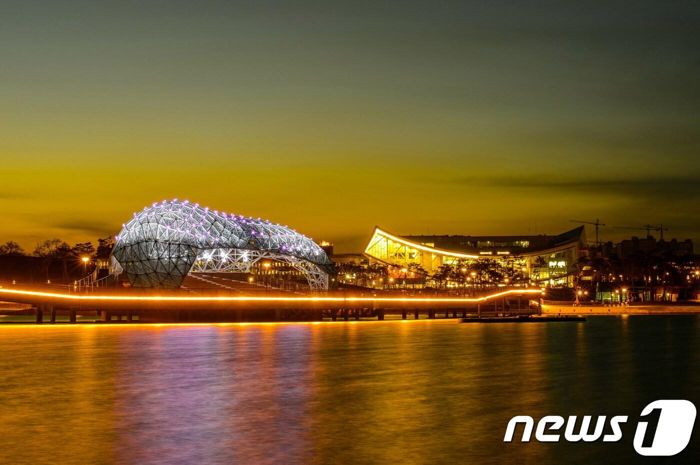 세종호수공원 야경.ⓒ News1