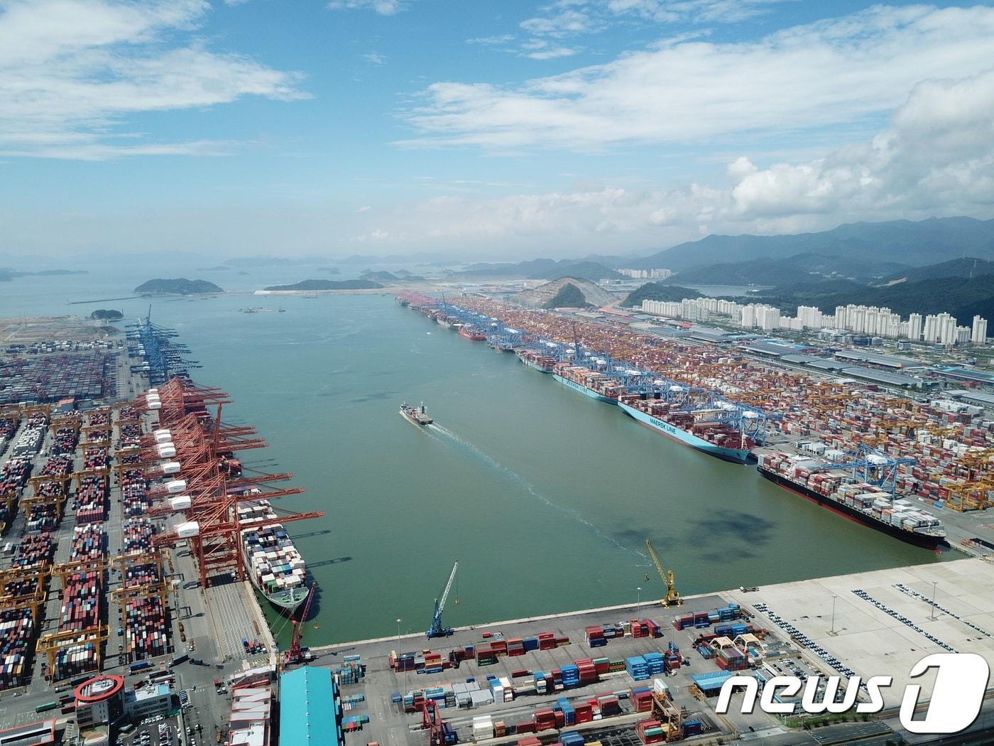 본문 이미지 - 부산항 신항 전경/ 뉴스1ⓒ News1  