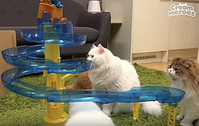 본문 이미지 - 사진 크림히어로즈 중 한 장면. ⓒ News1