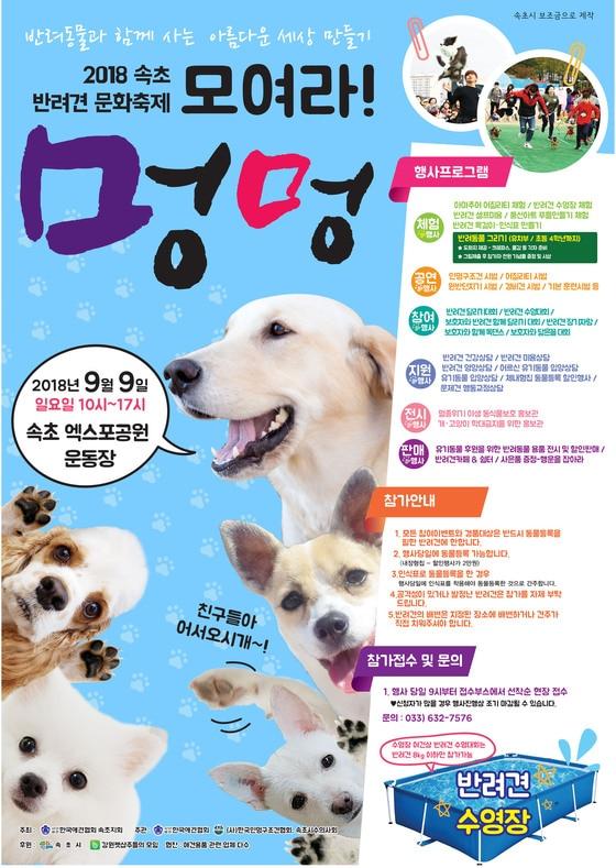 본문 이미지 - 2018 반려견 문화축제-모여라! 멍멍 포스터 (속초시 제공) ⓒ News1