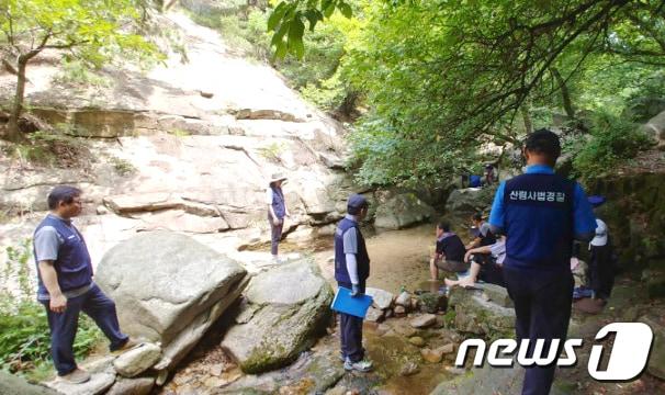본문 이미지 - 산림내 불법행위 단속 장면. ⓒ News1 