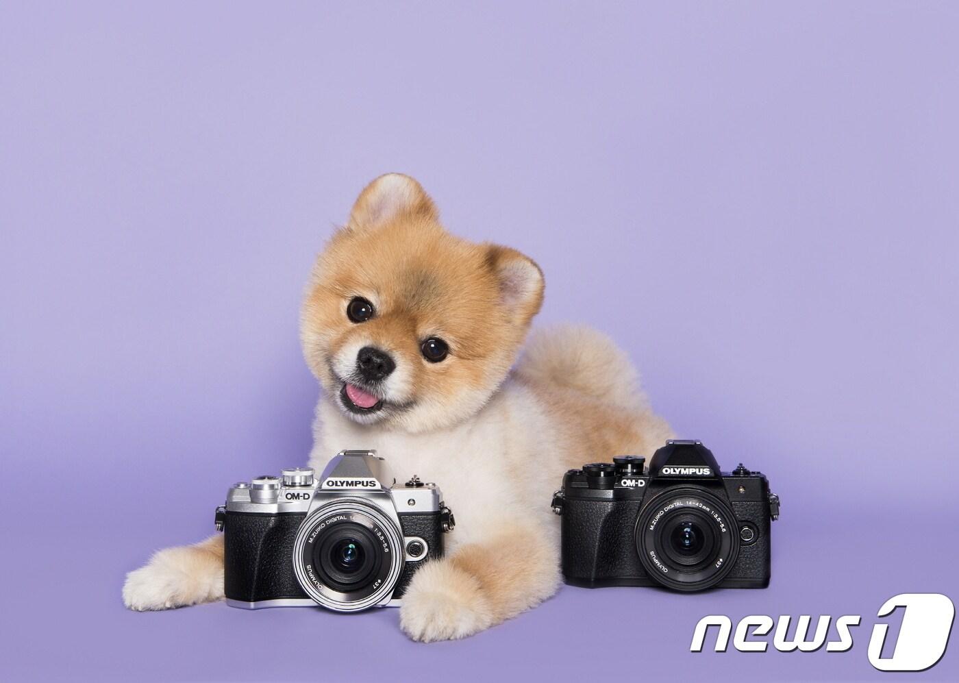 본문 이미지 - 올림푸스 미러리스 카메라 'OM-D E-M10 마크3'(올림푸스 제공)ⓒ News1
