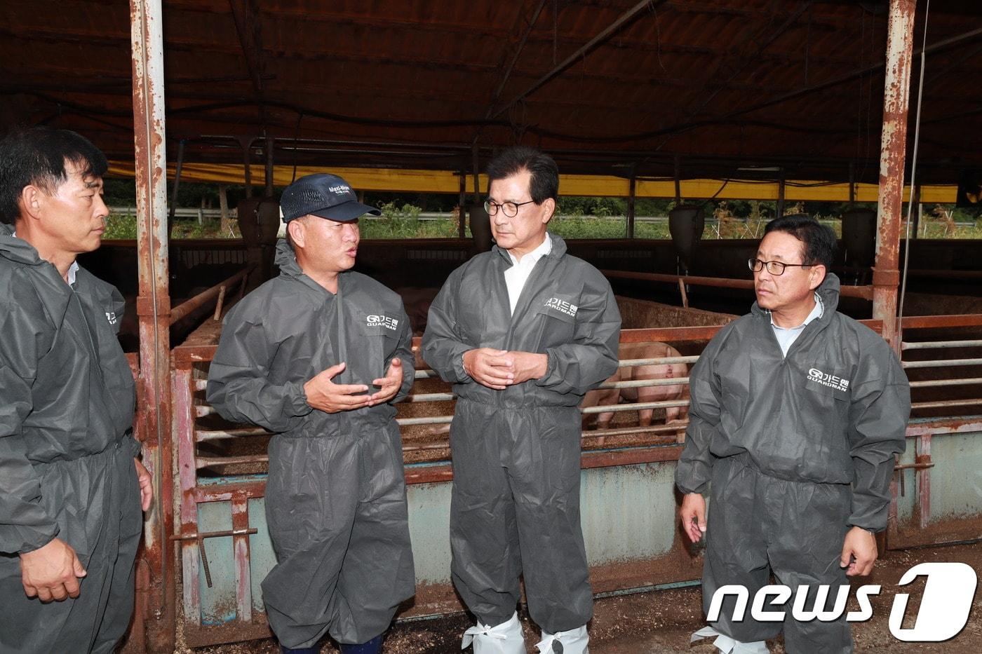 본문 이미지 - 이시종 충북지사가 6일 오후 충북 괴산군의 한 돼지 농가를 찾아 현장을 살피고 폭염·가뭄 대책을 지시하고 있다.  (충북도 제공)  ⓒ News1