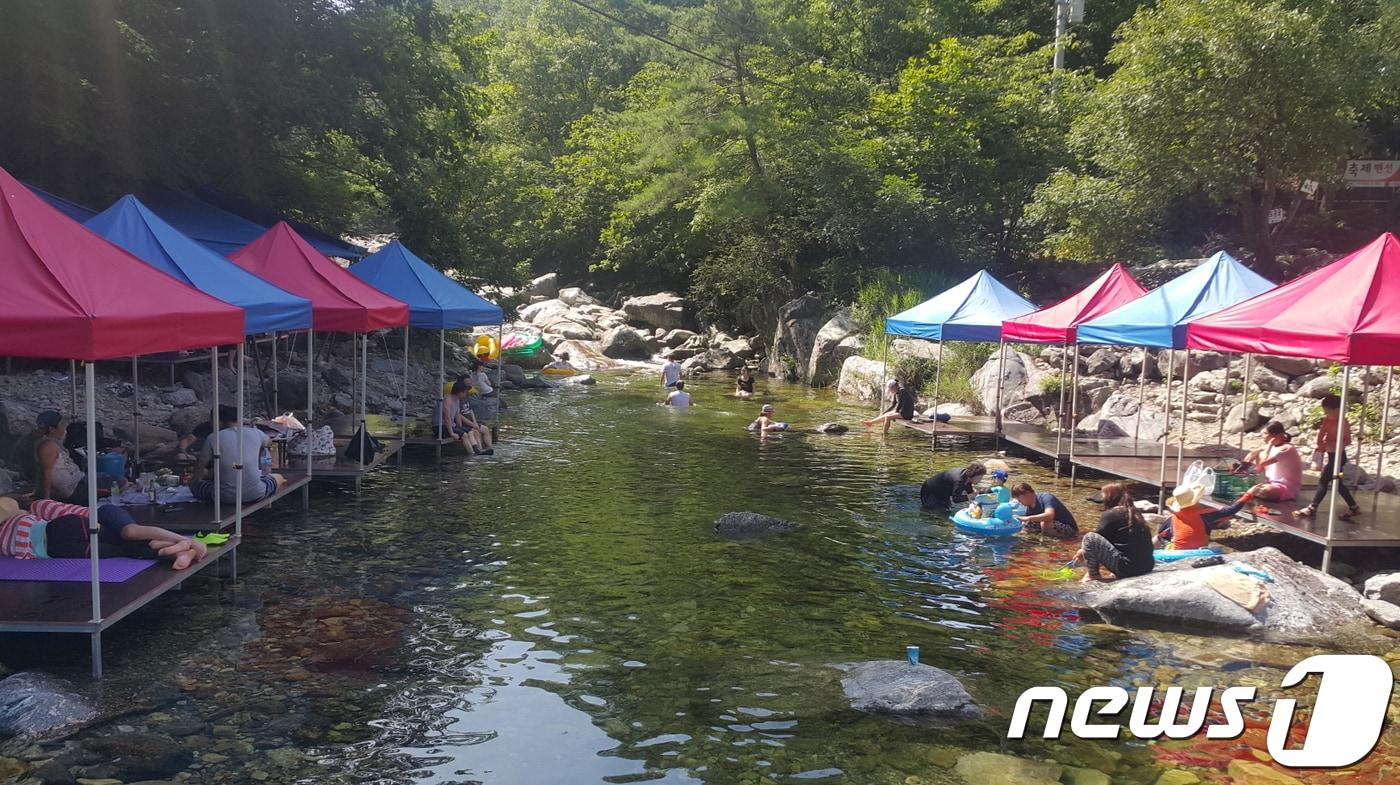 본문 이미지 - 경기도특별사법경찰단은 최근 개발제한구역인 계곡에 평상을 설치하고 음식을 파는 등 불법행위를 해온 숙박업소와 음식점 69개소를 적발. 형사입건했다.(경기도특사경) ⓒ 뉴스1 진현권 기자