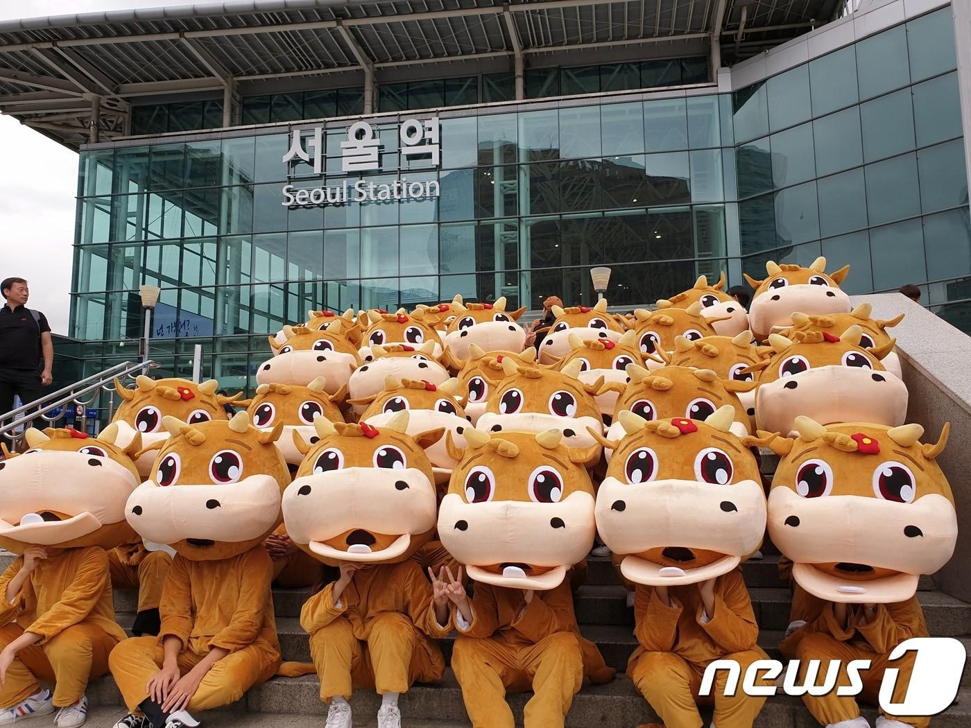 본문 이미지 - 한우 탈을 쓰고 축제 홍보를 벌이는 횡성군.&#40;사진은 기사와 관련없음&#41;/뉴스1 DB