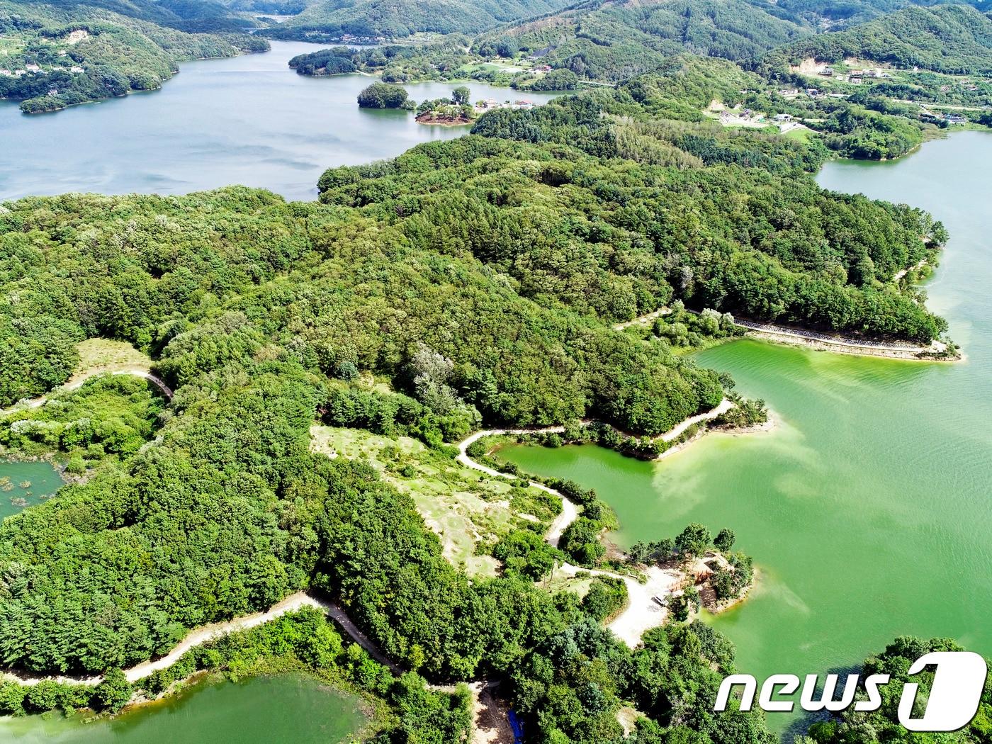 본문 이미지 - 강원 횡성군 횡성호 둘레를 따라 조성된 횡성호수길(횡성군 제공)/뉴스1 ⓒ News1
