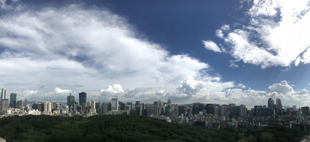 본문 이미지 - 호텔 옥상에서 바라본 선정릉 전망. 알코브 서울 호텔 제공