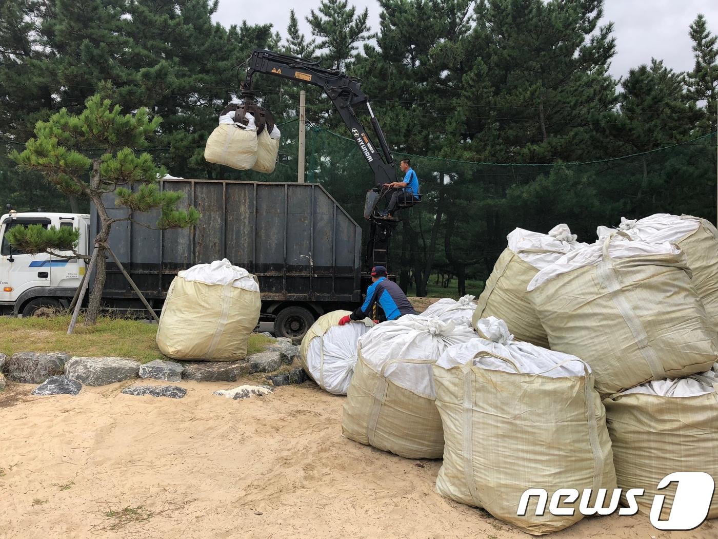 본문 이미지 - 강릉시 주문진읍 관계자들이 18일 집게차를 동원해 해안가에 걸쳐있던 각종 생활쓰레기와 나뭇가지 등을 수거하고 있다. (강릉시 제공) 2018.9.18/뉴스1 ⓒ News1