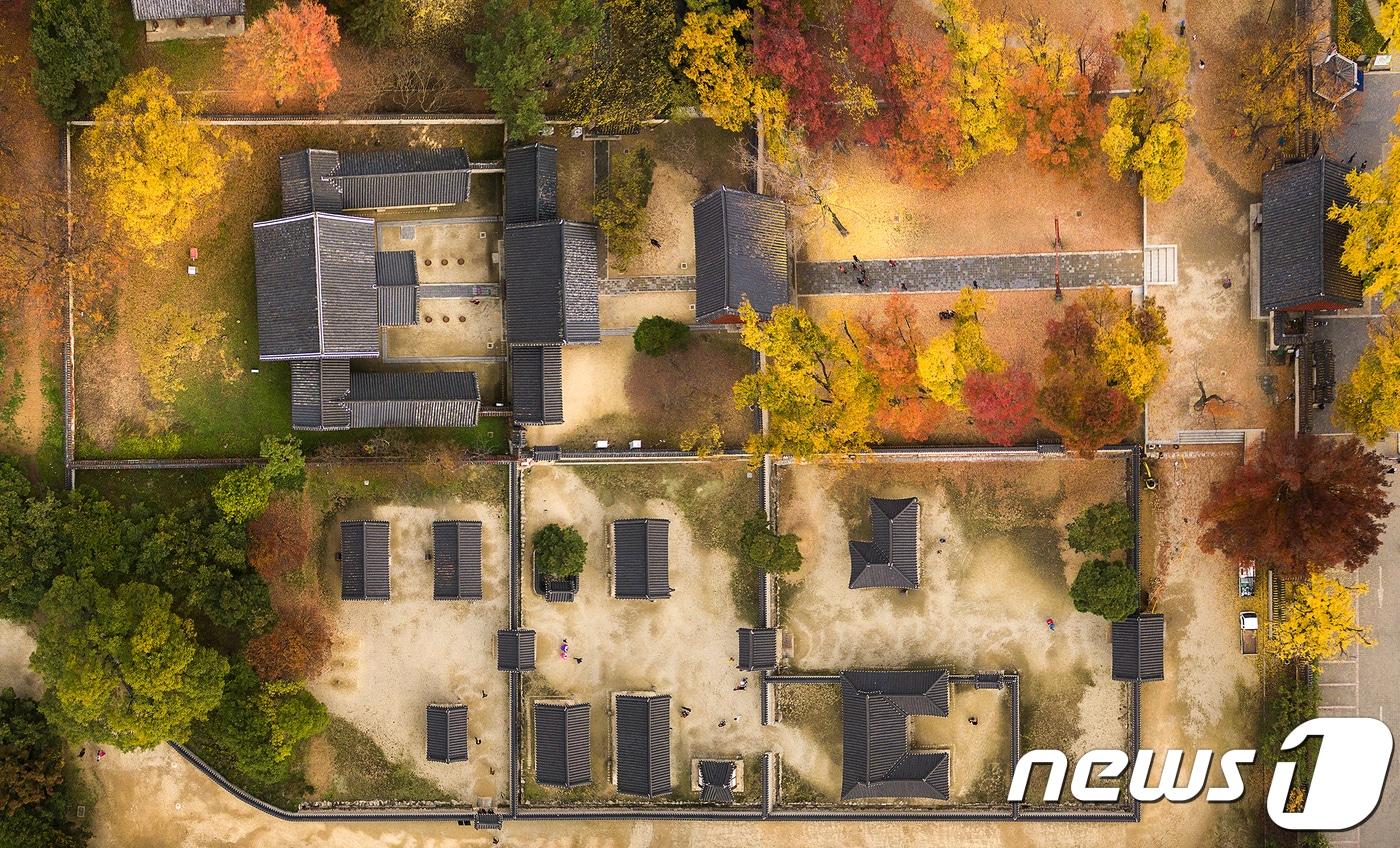 전북 전주 한옥마을 내 경기전을 울긋불긋 물들인 오색 단풍(전주시 제공)  ⓒ News1 김춘상 기자