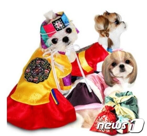 본문 이미지 - ⓒ News1