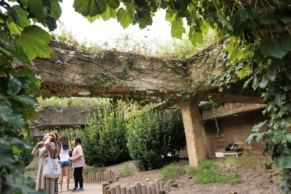 본문 이미지 - 성수동 나비정원. 이하 한국관광공사 제공