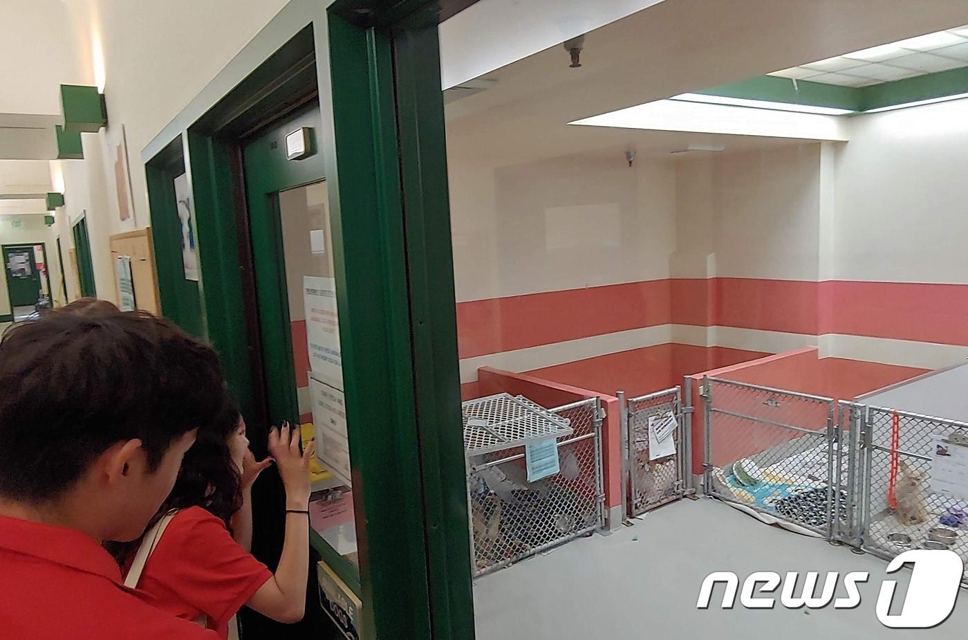 미국 유기동물보호소 San Francisco Animal Care&Control 내부. 사진 성균관대 개척자들 제공. ⓒ News1