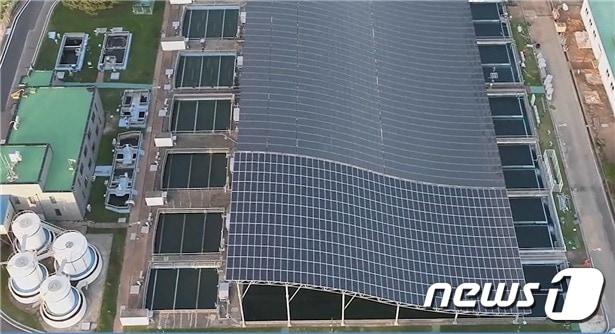 본문 이미지 - 주민이 사업비를 투자해 안산 정수장에 설치한 태양광 발전소.(환경부 제공) ⓒ News1